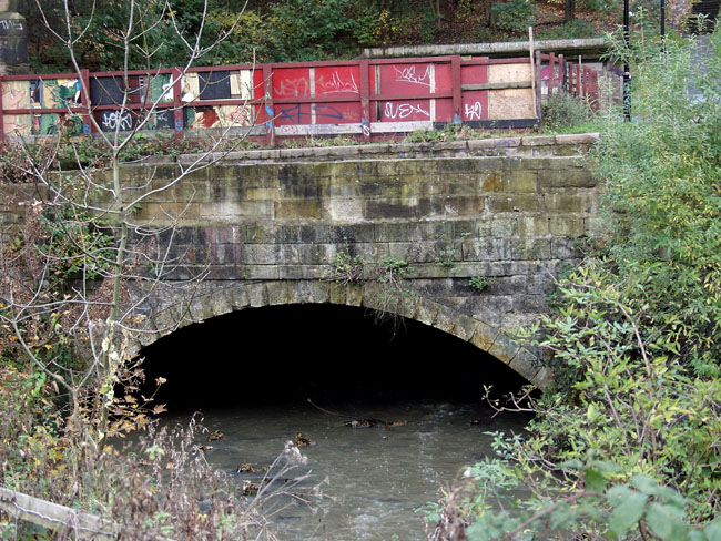 Clas_Ouse_Tunnel_Ent_New_South