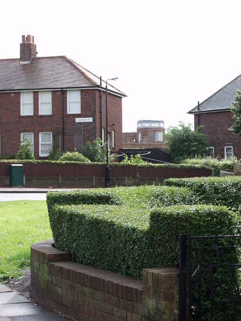 Wvew_Yewcroft_Hedge_02